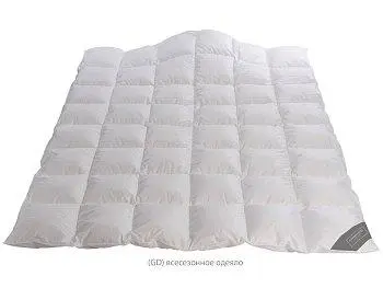 Одеяло Johann Hefel Arlberg GD, всесезонное