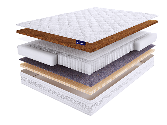 DeepSon PREMIUM Chance S1000 1 (фото)