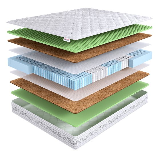 Intellect Zone Foam 1 (фото)